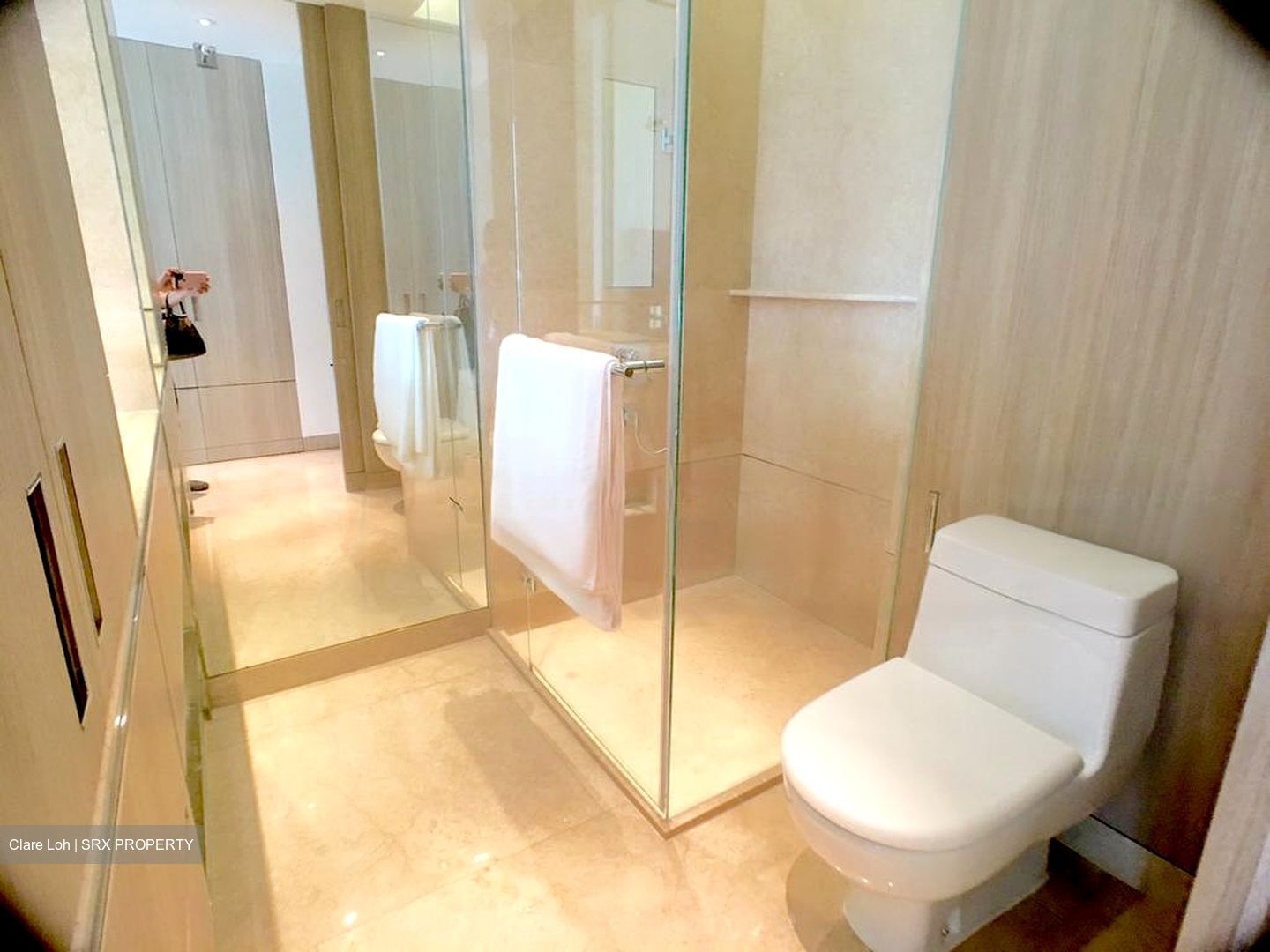 Ardmore Residence (D10), Condominium #596208641